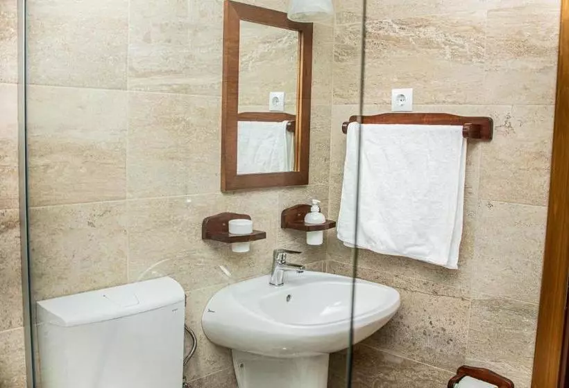 هتل Pensiunea Poienita Apusenilor