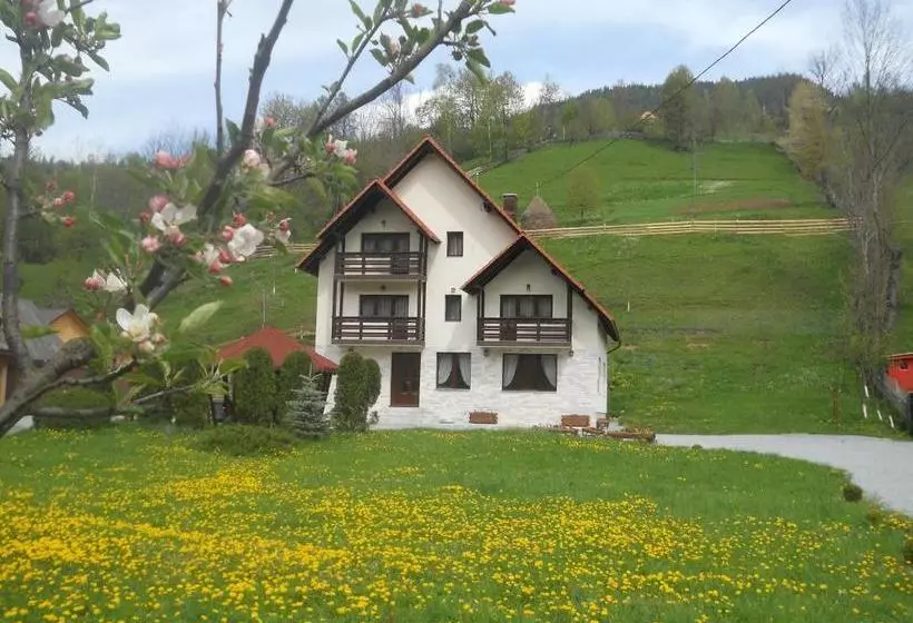 هتل Pensiunea Poienita Apusenilor