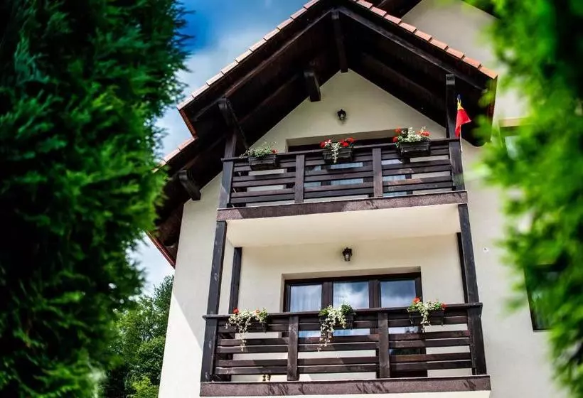 هتل Pensiunea Poienita Apusenilor