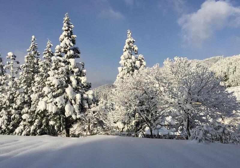 פנסיון Kozaemon