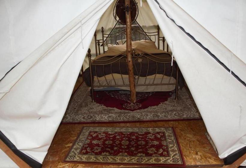 Sven's Basecamp Hostel