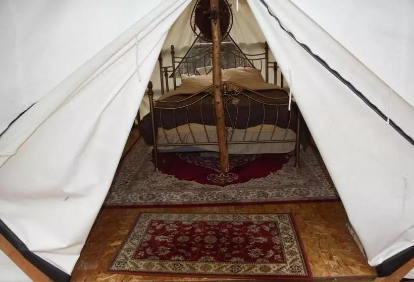 Sven's Basecamp Hostel