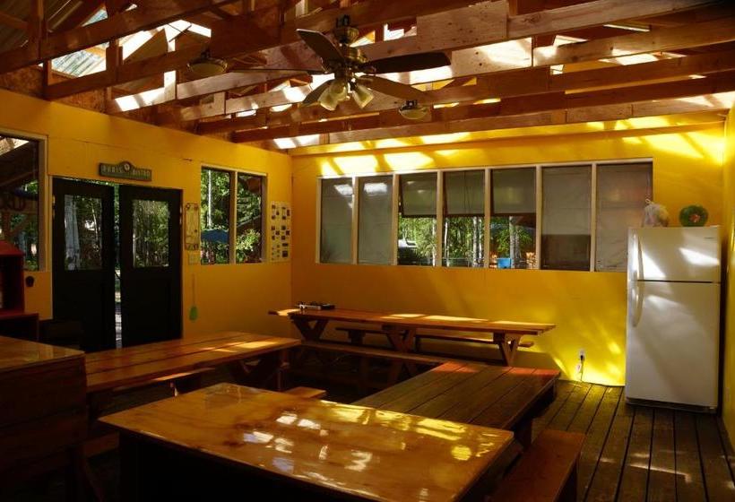 Sven's Basecamp Hostel