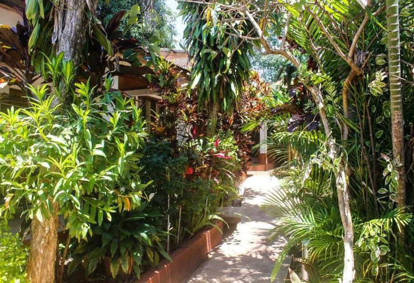 Pension Hospedaje Jose Gorgues