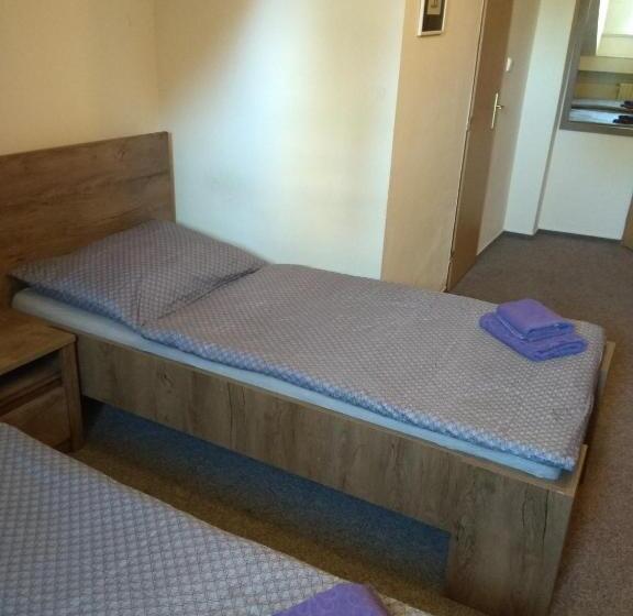 ペンション Restaurace Alvi