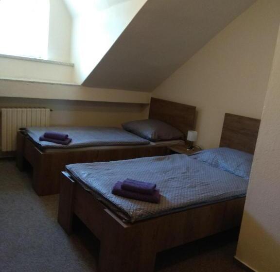 ペンション Restaurace Alvi