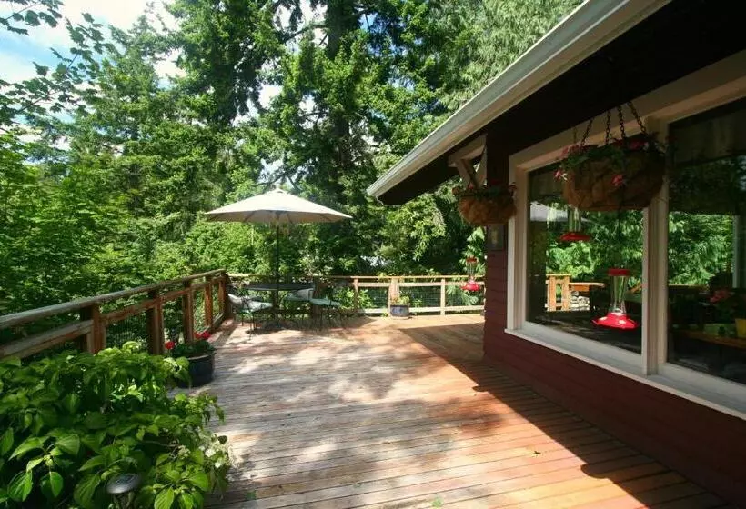 Kangaroo House Bed & Breakfast