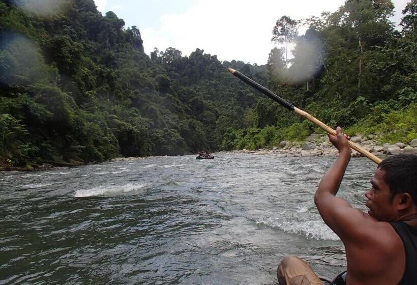 פנסיון Fidodido Guesthouse