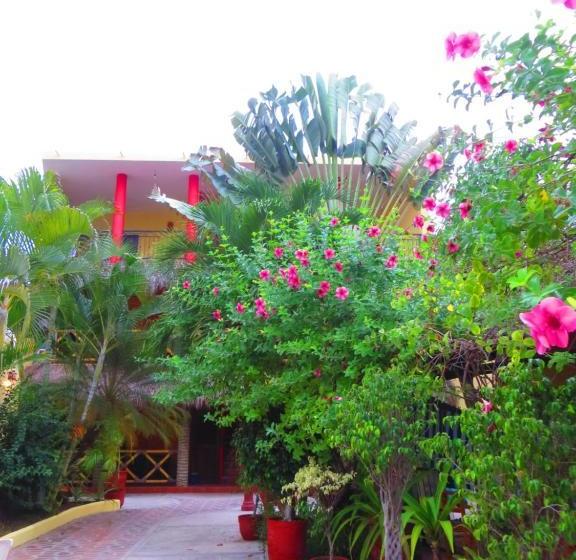 ユースホステル La Cruz Inn