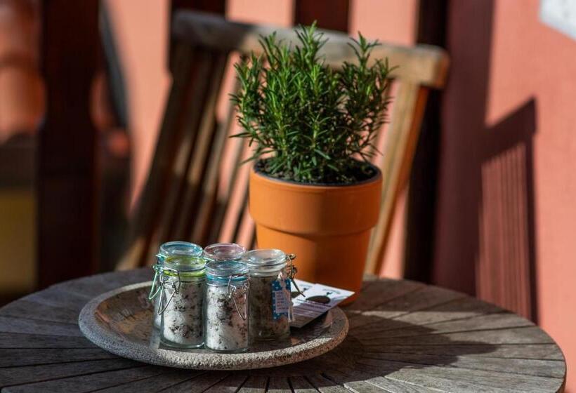 پانسیون Domačija Pri Damjanu