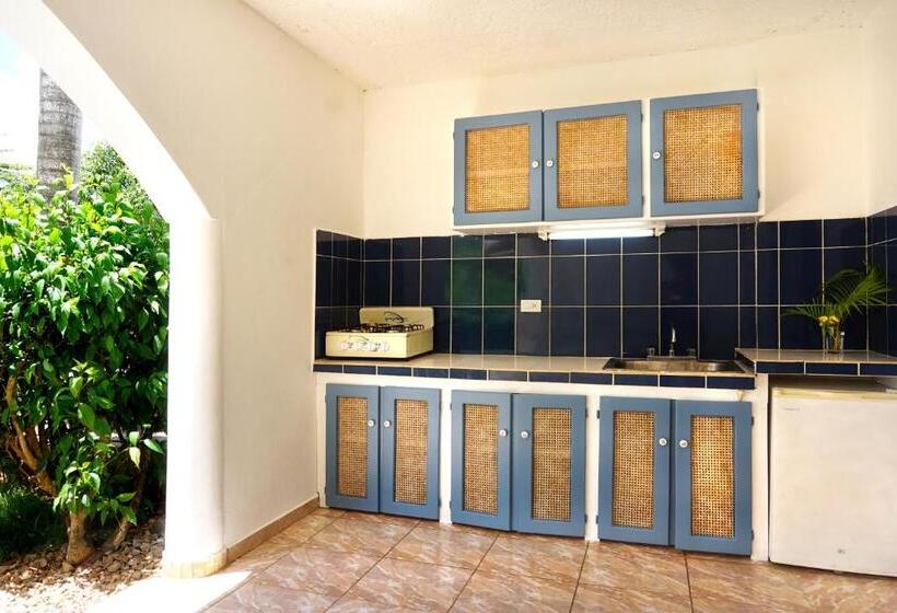 پانسیون Le Bdm Playita