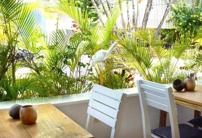 پانسیون Le Bdm Playita