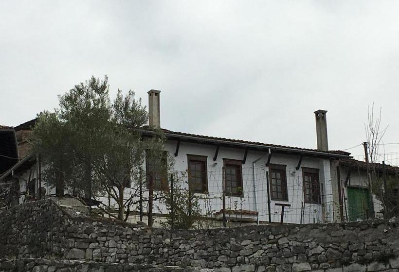 膳宿费 Pjetri House