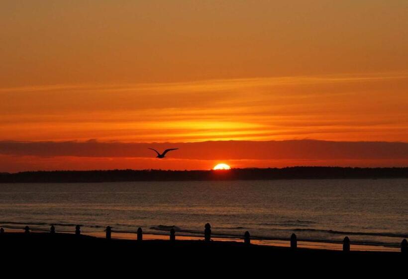 فندق على الطريق The Skylark Beach Inn