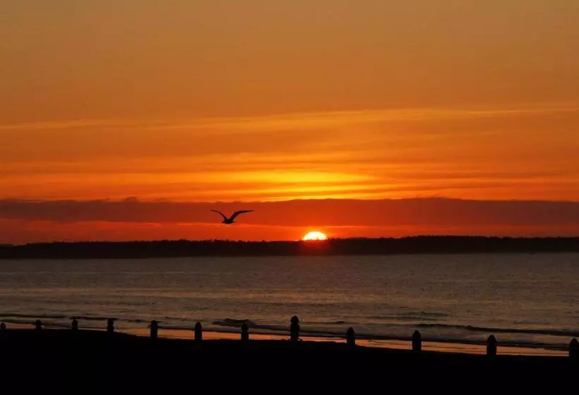 モーテル The Skylark Beach Inn