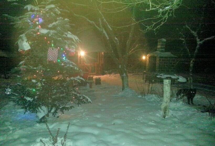 پانسیون Delia