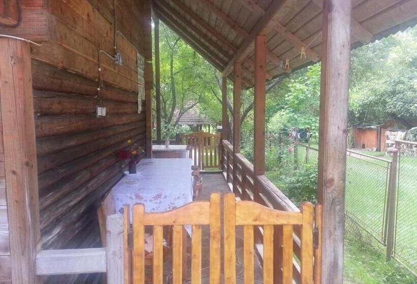 پانسیون Delia