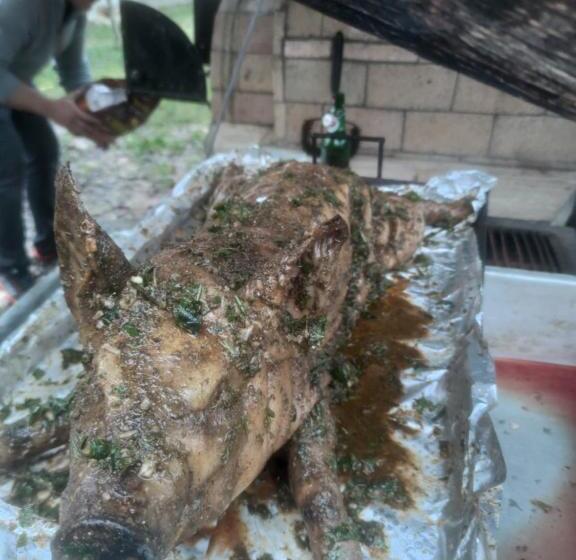 پانسیون Delia