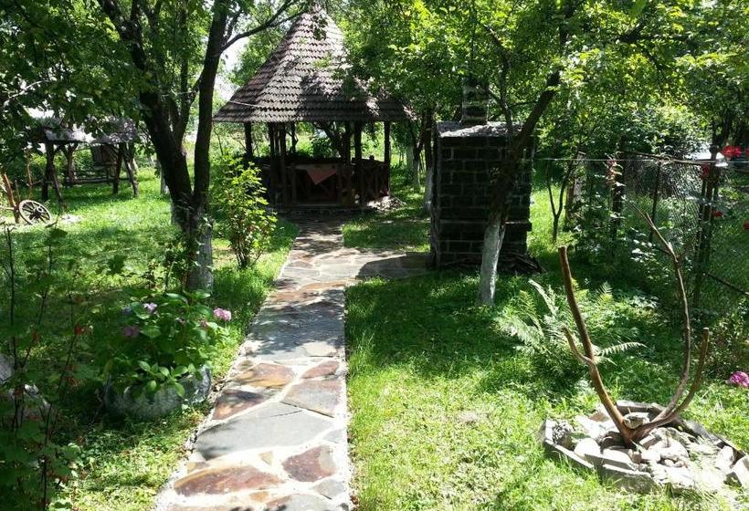 پانسیون Delia