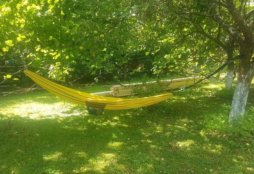 پانسیون Delia