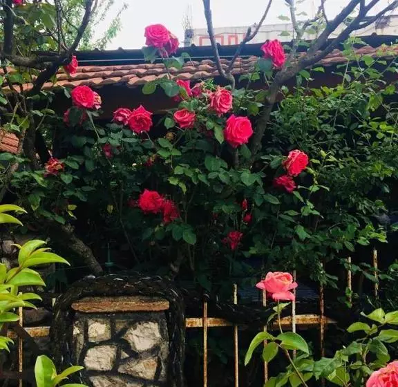پانسیون Guesthouse Berlin