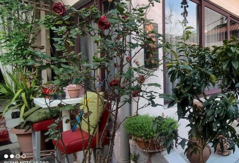 بنسيون Guesthouse Hygge