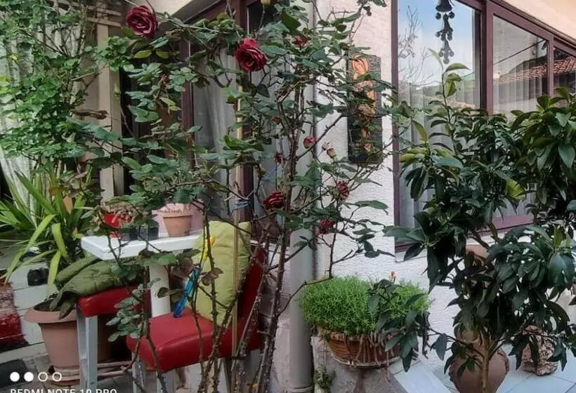 پانسیون Guesthouse Hygge