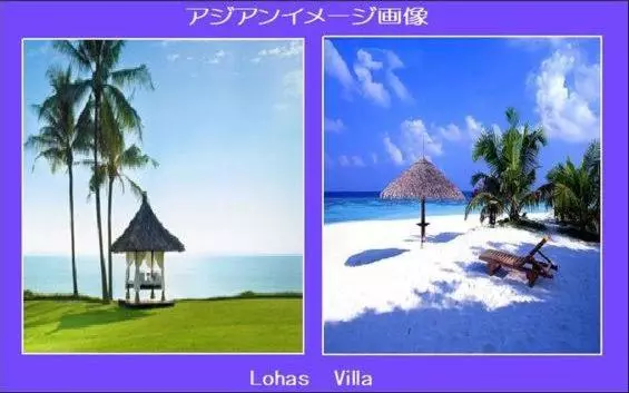 پانسیون Lohas Villa