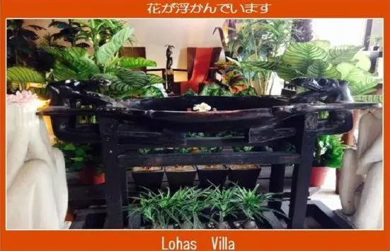 پانسیون Lohas Villa