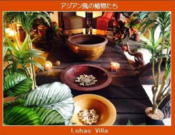 پانسیون Lohas Villa