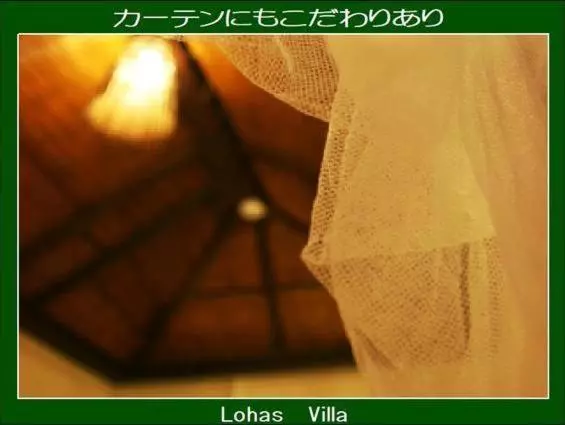 پانسیون Lohas Villa