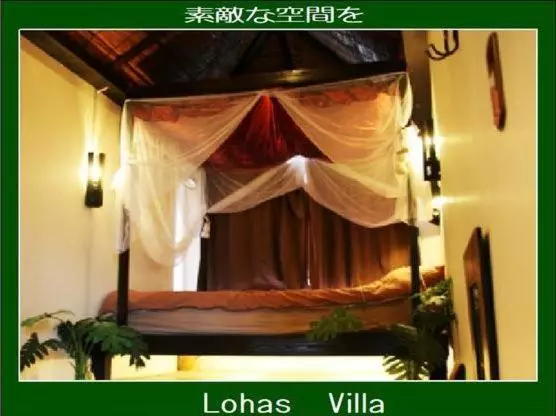 پانسیون Lohas Villa