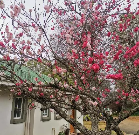 Majatalo Sani Window B&b And Self Catering