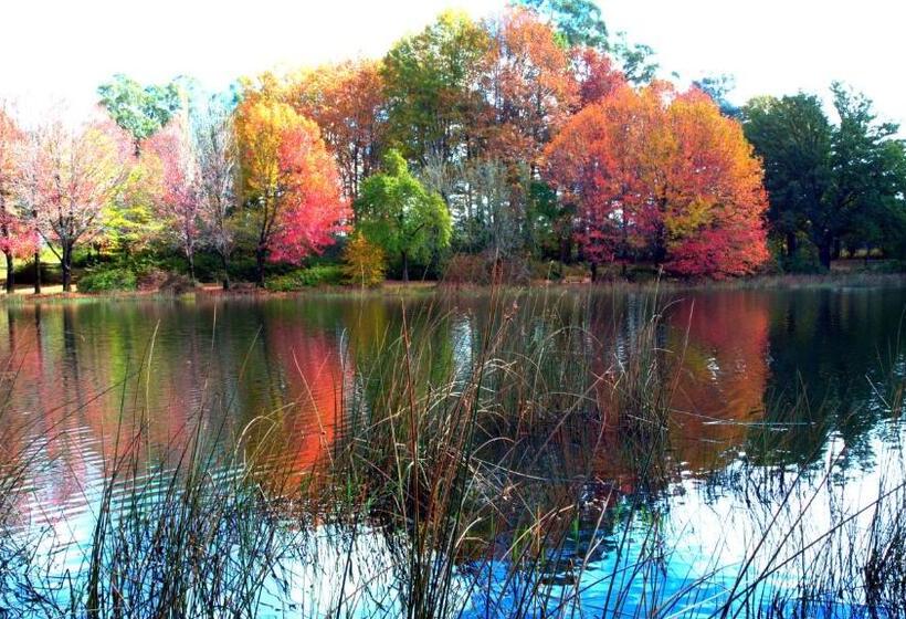 פנסיון Sani Window B&b And Self Catering