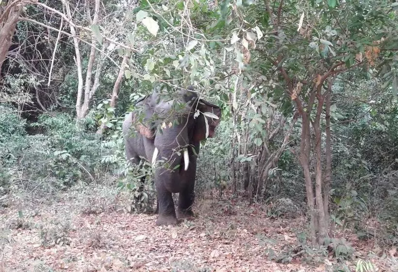پانسیون Udesh Guest