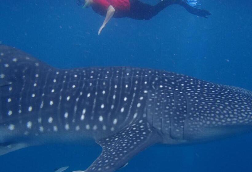 هاستل Ralphseej Pension House