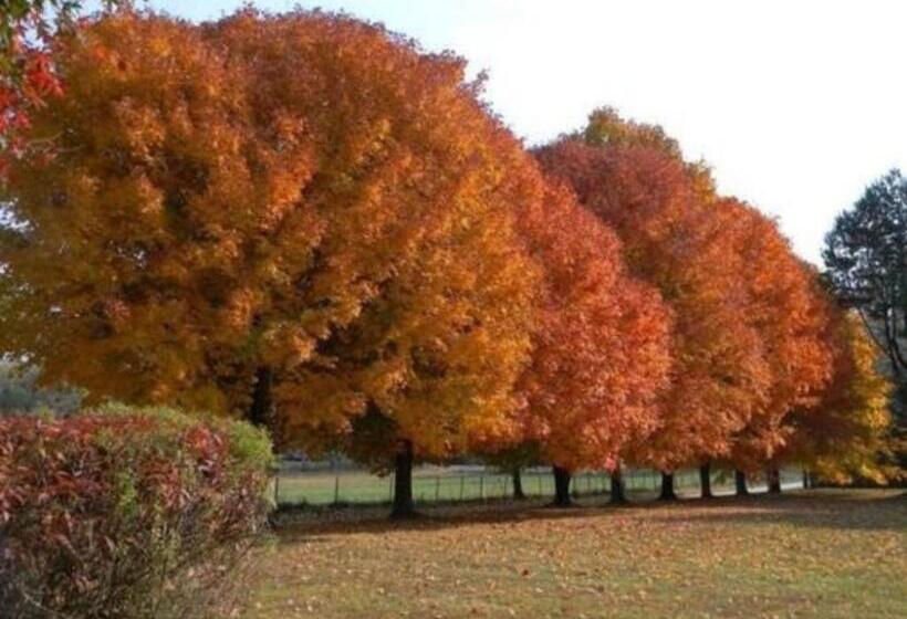 Bed and Breakfast Folkestone Inn