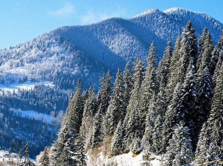 Pensiunea Turistică Tihuța