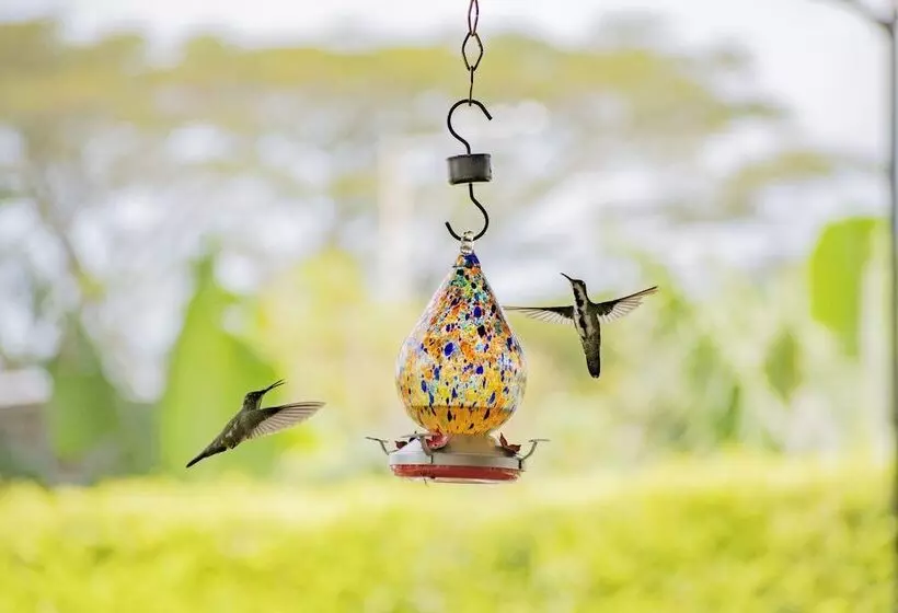 Hotel Campestre Café Café