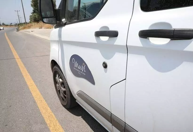 Mavi Pansiyon & Restaurant