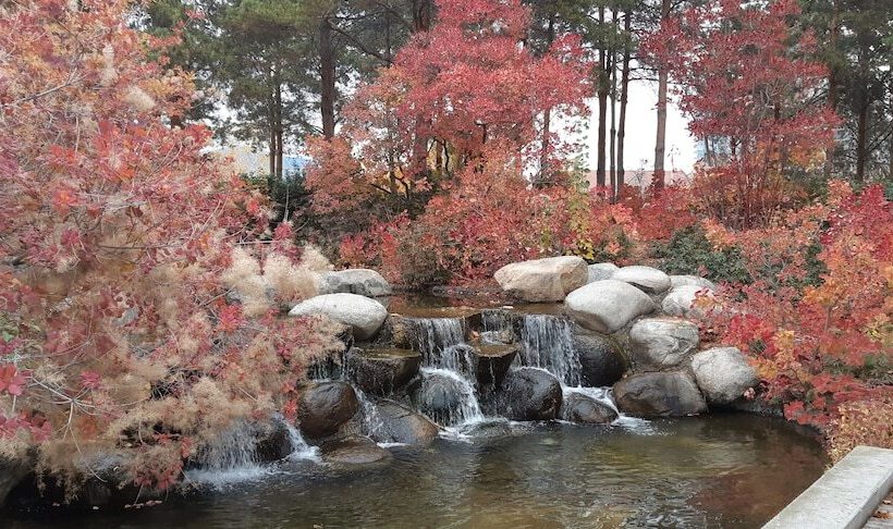 Pensionat Lake View House