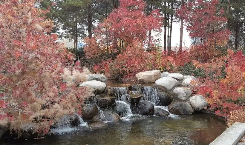 پانسیون Lake View House