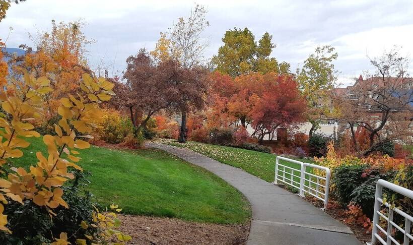 Pensionat Lake View House