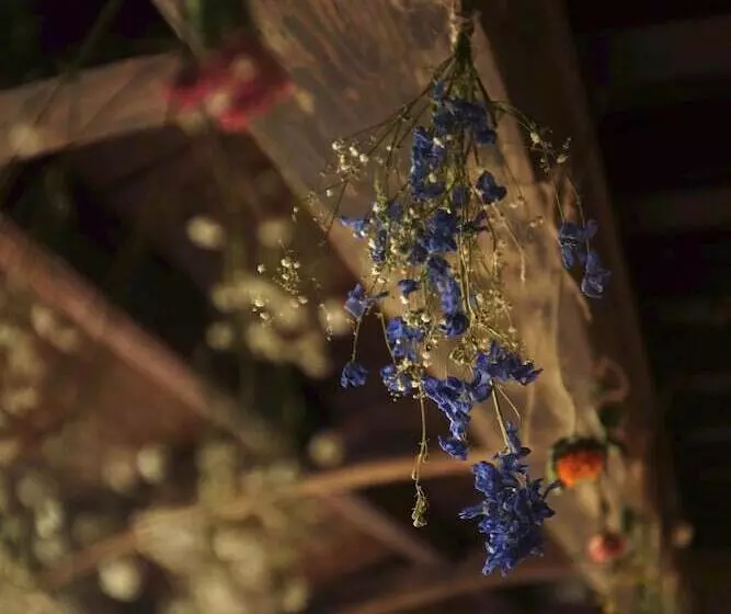 Majatalo Hostel&bar Camosiba