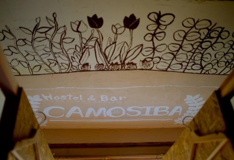 Pensión Hostel&bar Camosiba