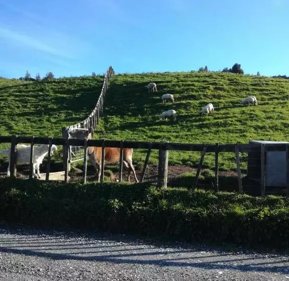 Retkeilymaja Junohall Backpackers