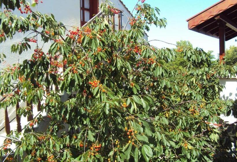 Пансион Amfora Guest House