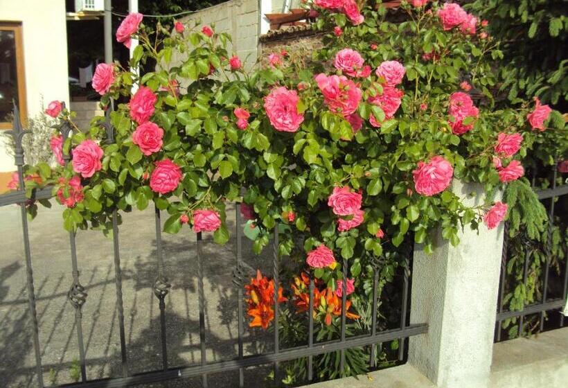 Пансион Amfora Guest House