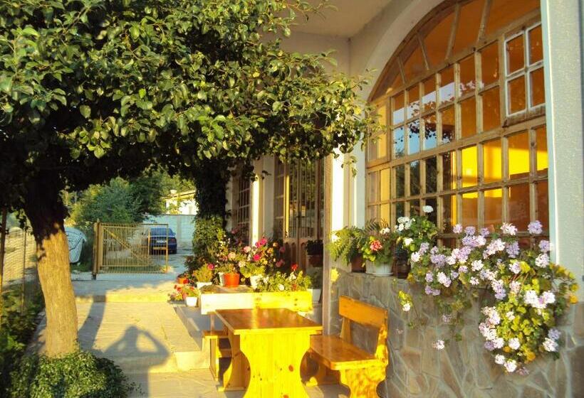 Пансион Amfora Guest House