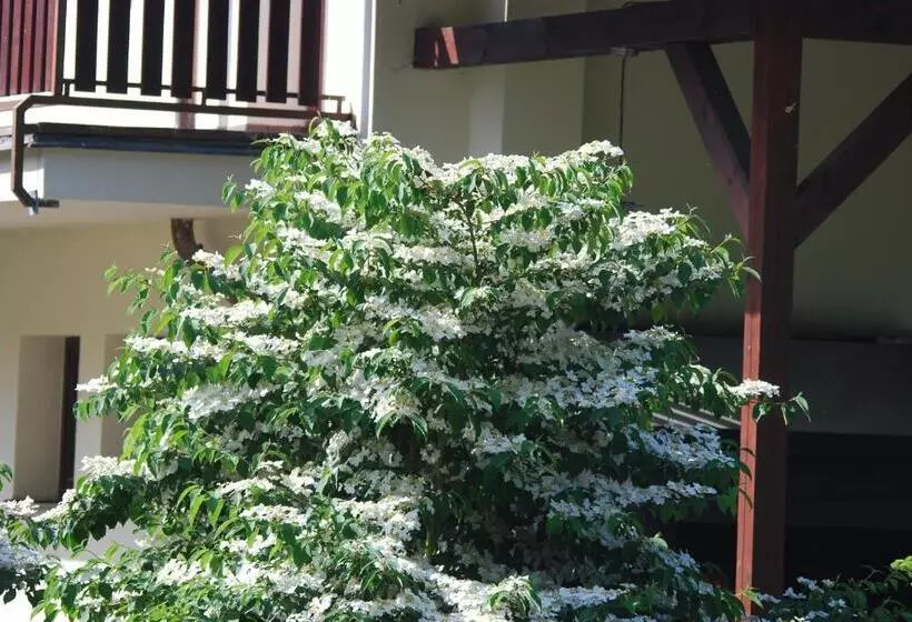 Majatalo Ivanek Guest House